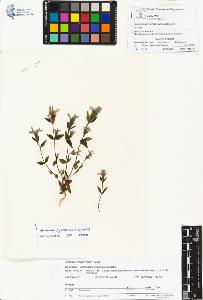 SW_BNB_s3070-01288_IMG-0000000001