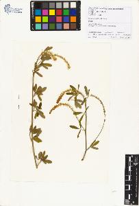 SW_BNB_s3070-01290_IMG-0000000001