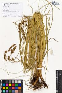 SW_BNB_s3070-01301_IMG-0000000001