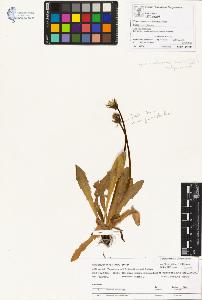 SW_BNB_s3070-01304_IMG-0000000001
