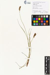SW_BNB_s3070-01305_IMG-0000000001