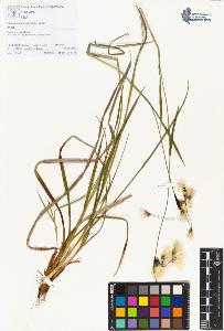 SW_BNB_s3070-01306_IMG-0000000001