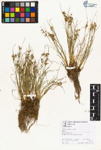 SW_BNB_s3070-01307_IMG-0000000001