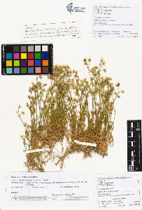 SW_BNB_s3070-01308_IMG-0000000001