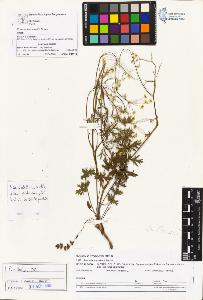 SW_BNB_s3070-01309_IMG-0000000001