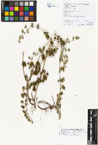 SW_BNB_s3070-01310_IMG-0000000001