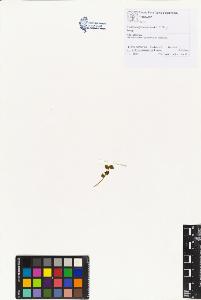 SW_BNB_s3070-01312_IMG-0000000001