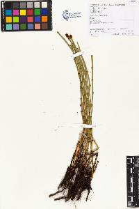 SW_BNB_s3070-01313_IMG-0000000001