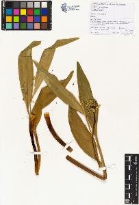 SW_BNB_s3070-01315_IMG-0000000001