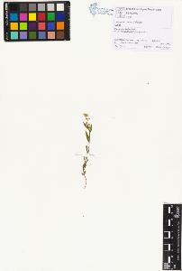 SW_BNB_s3070-01317_IMG-0000000001