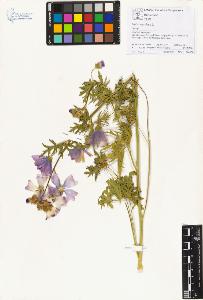 SW_BNB_s3070-01320_IMG-0000000001