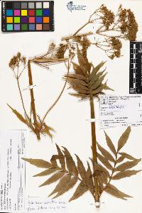 SW_BNB_s3070-01321_IMG-0000000001