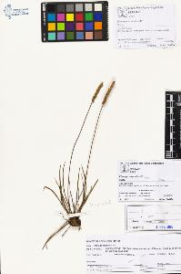 SW_BNB_s3070-01323_IMG-0000000001