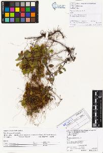 SW_BNB_s3070-01326_IMG-0000000001