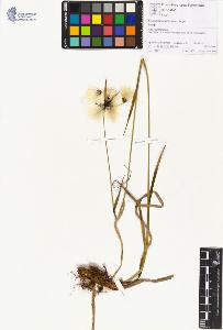 SW_BNB_s3070-01328_IMG-0000000001