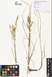 SW_BNB_s3070-01330_IMG-0000000001