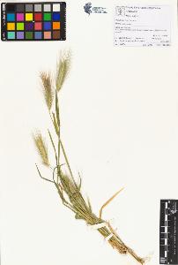 SW_BNB_s3070-01333_IMG-0000000001