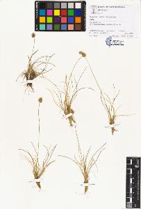 SW_BNB_s3070-01334_IMG-0000000001