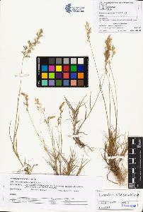 SW_BNB_s3070-01335_IMG-0000000001