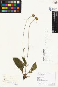 SW_BNB_s3070-01336_IMG-0000000001