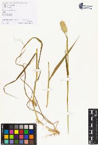 SW_BNB_s3070-01338_IMG-0000000001