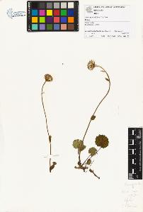 SW_BNB_s3070-01339_IMG-0000000001