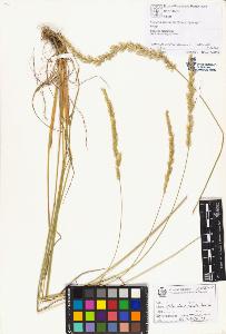 SW_BNB_s3070-01341_IMG-0000000001