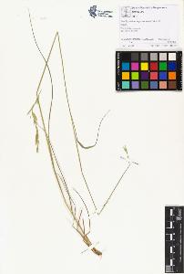 SW_BNB_s3070-01342_IMG-0000000001