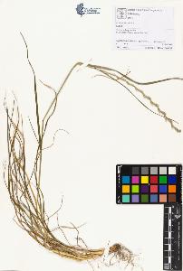 SW_BNB_s3070-01343_IMG-0000000001