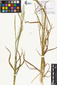 SW_BNB_s3070-01350_IMG-0000000001