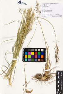 SW_BNB_s3070-01351_IMG-0000000001