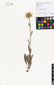 SW_BNB_s3070-01352_IMG-0000000001