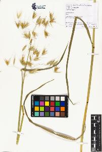 SW_BNB_s3070-01355_IMG-0000000001