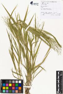 SW_BNB_s3070-01356_IMG-0000000001