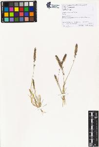 SW_BNB_s3070-01358_IMG-0000000001