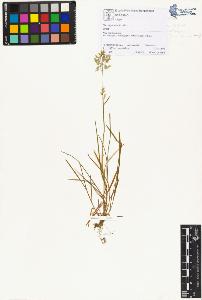 SW_BNB_s3070-01359_IMG-0000000001