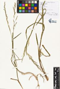 SW_BNB_s3070-01360_IMG-0000000001