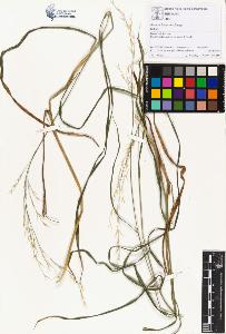 SW_BNB_s3070-01361_IMG-0000000001