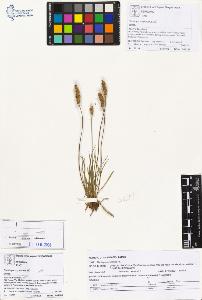 SW_BNB_s3070-01363_IMG-0000000001
