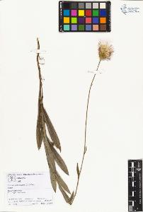SW_BNB_s3070-01364_IMG-0000000001