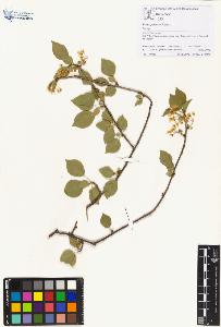 SW_BNB_s3070-01366_IMG-0000000001