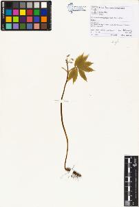 SW_BNB_s3070-01368_IMG-0000000001