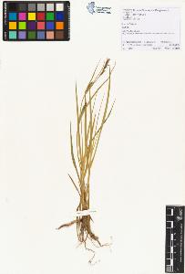 SW_BNB_s3070-01374_IMG-0000000001