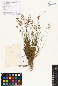 SW_BNB_s3070-01378_IMG-0000000001