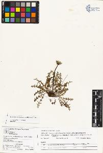 SW_BNB_s3070-01381_IMG-0000000001