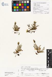 SW_BNB_s3070-01382_IMG-0000000001