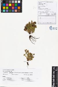 SW_BNB_s3070-01383_IMG-0000000001