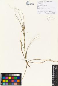 SW_BNB_s3070-01385_IMG-0000000001