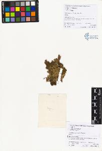 SW_BNB_s3070-01386_IMG-0000000001
