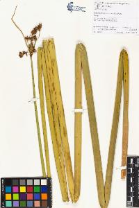 SW_BNB_s3070-01388_IMG-0000000001